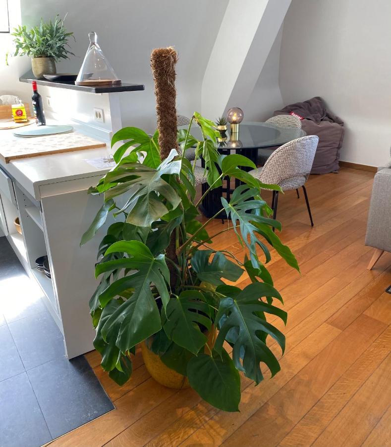 Definitief Gesloten Appartement Oostende Buitenkant foto